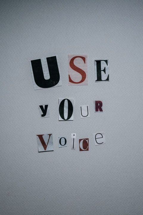 use your voice